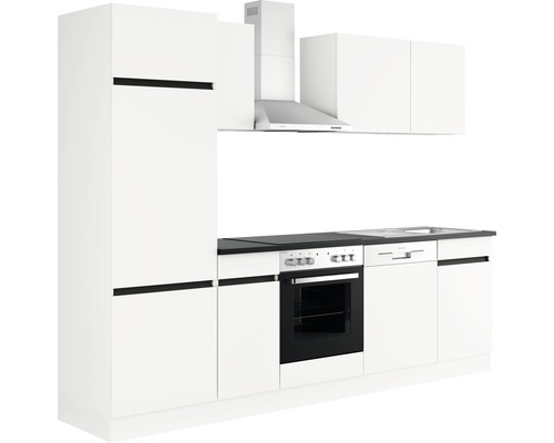 Köksdel med högskåp, fläkt, diskho och inbyggnadsapparater