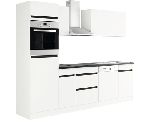 Köksmodul med ugn, fläkt, diskho och diskmaskin
