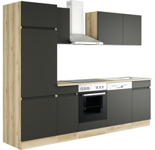 Komplett köksmodul med inbyggda apparater, diskho, spishäll och fläkt.