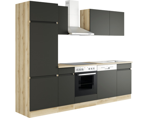 Komplett köksmodul med inbyggda apparater, diskho, spishäll och fläkt.