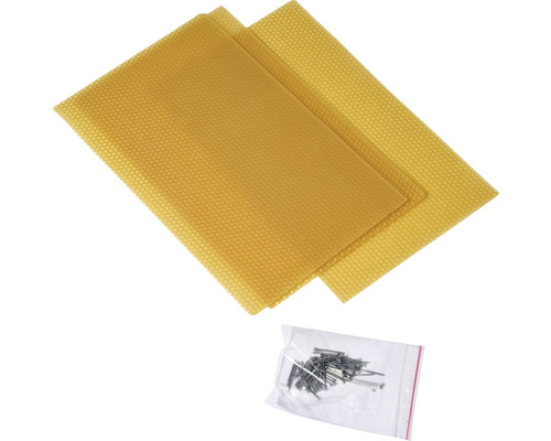 Vaxkakor med spikar för bikupan