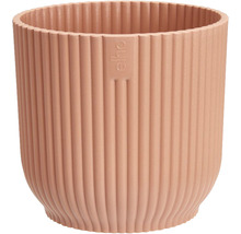 Eho blomkruka med ribbad struktur