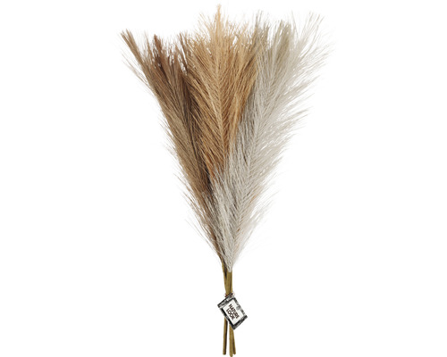 Dekorativa pampasgräsbuntar för inredning