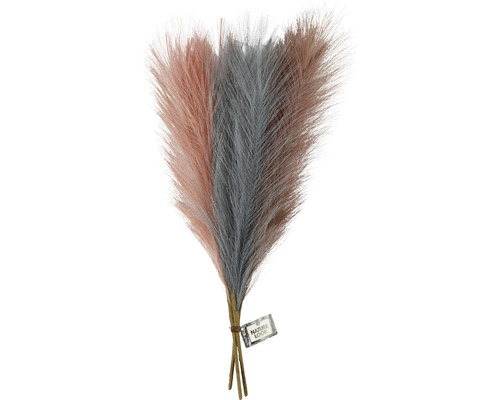 Dekorativa pampasgräsbuntar för inomhusbruk