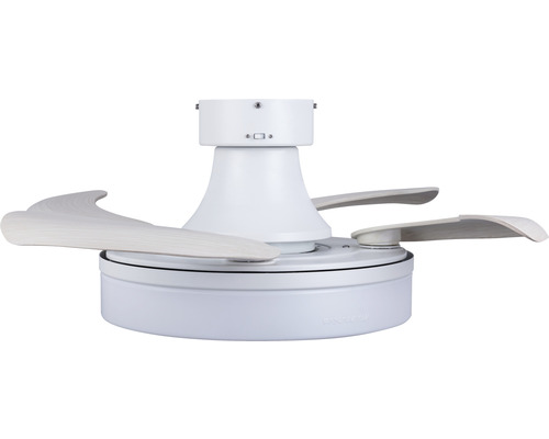 Takfläkt med träblad