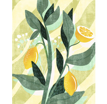 Illustration av ett citronträd med blad och frukter