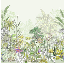 Illustration av olika tropiska växter