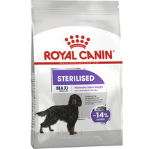 Royal Canin Sterilised Maxi hundfoder för kastrerade vuxna hundar