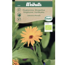 Weibulls Ringblomma fröpaket med blomma