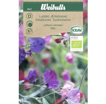 Weibulls Luktärt blomfrö paket