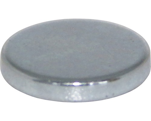 Magnet INDUSTRIAL cylindrisk Ø12x2mm 12-pack
