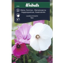 Blomfrö WEIBULLS Malva sommarblandning