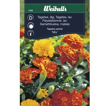 Blomfrö WEIBULLS Tagetes låg mix
