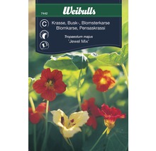 Blomfröblandning WEIBULLS Buskkrasse