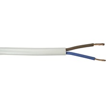 Tvåledad elektrisk ledning