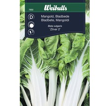 Mangold Silver 2 fröförpackning