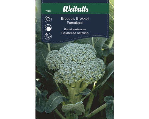 Broccolifrö WEIBULLS broccoli