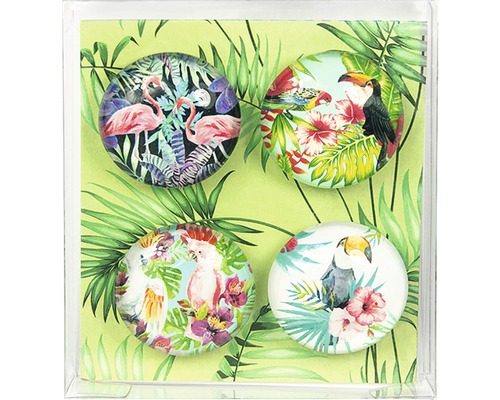 Fyra tropiska magneter med flamingo-, kakadu- och tukanmotiv