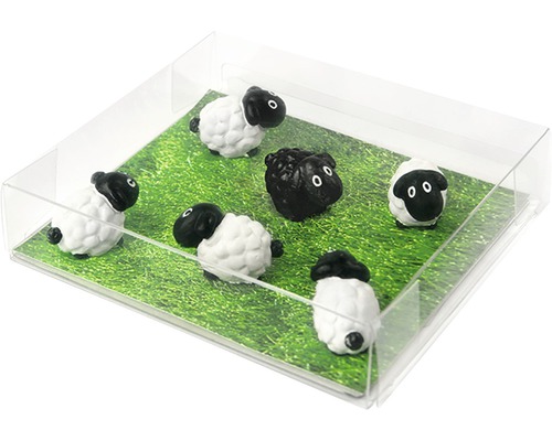 Dekorativ fårhjord i transparent låda på grön äng