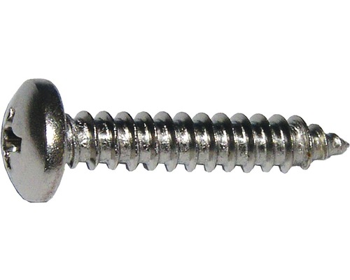 Linsskruv med krysshuvud