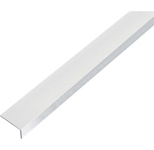 Vinkelprofil ALBERTS aluminium kulpenad silver självhäftande 20x10x1mm 1m