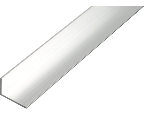 Vinkelprofil ALBERTS aluminium natur 40x10x2mm 2,6m