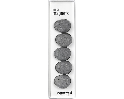 Set stenmagneter i förpackning