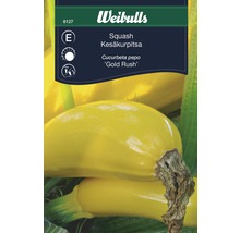 Weibulls Frö Squash ''Gold Rush''