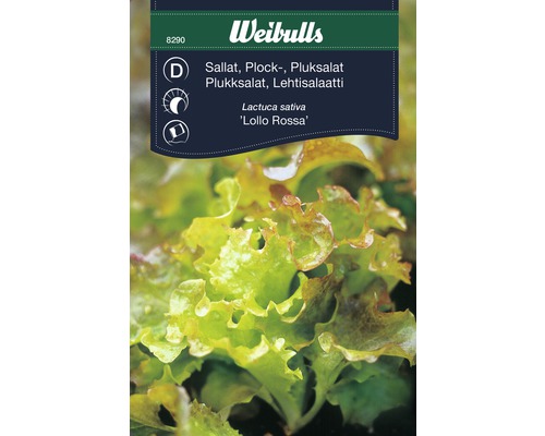 Sallatsfrö WEIBULLS Plocksallat Lollo Rossa Sallatsfrö WEIBULLS Plocksallat Lollo Rossa