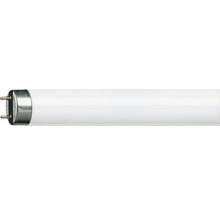 Lysrör PHILIPS TL-D 18W/865