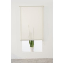 Screenrullgardin HASTA beige 105x250cm