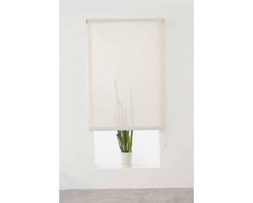 Rullgardin på fönstret för avskildhet och solskydd