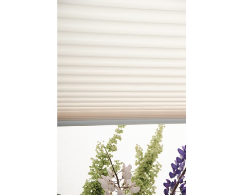 Närbild av en fönsterdekoration med plisségardiner