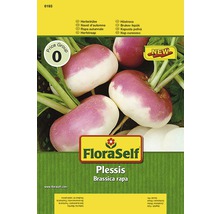 FloraSelf Plessis Herbstrübe Brassica rapa fröpaket