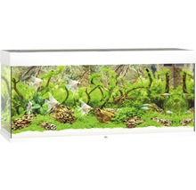 Akvarium JUWEL RIO 240 LED vit-thumb-2 Akvarium JUWEL RIO 240 LED vit-thumb-2