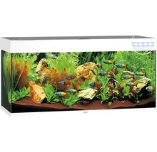 Akvarium JUWEL RIO 240 LED vit-thumb-0 Akvarium JUWEL RIO 240 LED vit-thumb-0