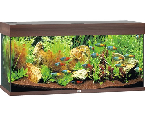 Akvarium JUWEL Rio 180 LED mörkt trä Akvarium JUWEL Rio 180 LED mörkt trä