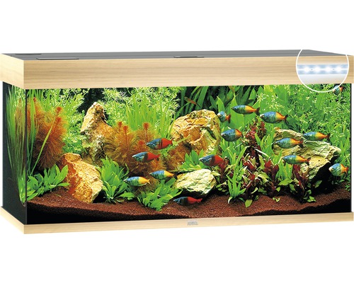 Akvarium JUWEL Rio 180 LED ljust trä Akvarium JUWEL Rio 180 LED ljust trä