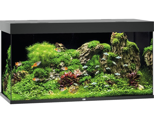 Akvarium JUWEL Rio 350 LED svart Akvarium JUWEL Rio 350 LED svart