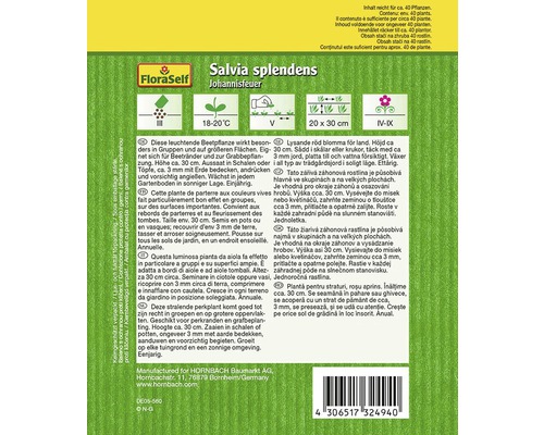 Förpackning med trädgårdsfrön av Salvia splendens Johannisfeuer