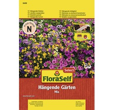FloraSelf Hängande trädgårdar frömix