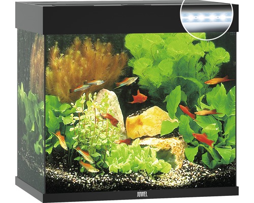 Akvarium JUWEL Lido 120 LED svart Akvarium JUWEL Lido 120 LED svart