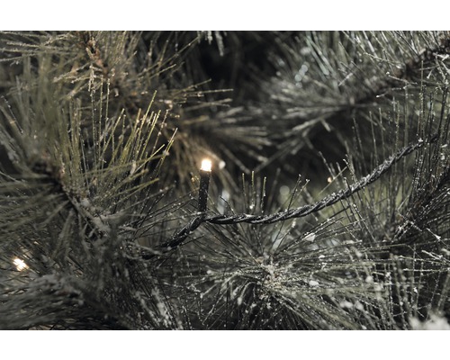 Närbild av en julgran med belysning och snö