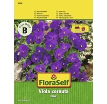 FloraSelf Hornviol blå
