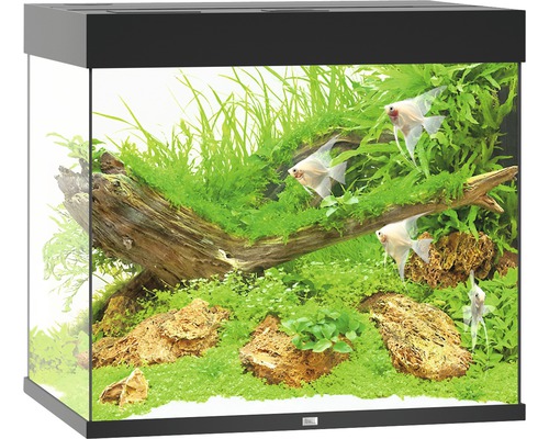 Akvarium JUWEL Lido 200 LED svart Akvarium JUWEL Lido 200 LED svart