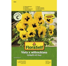 FloraSelf Viola x wittrockiana guldgul med öga