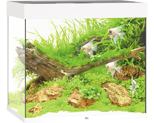 Akvarium JUWEL Lido 200 LED vit Akvarium JUWEL Lido 200 LED vit