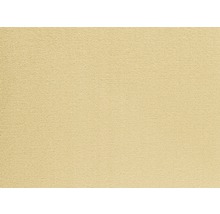 Detaljvy av en heltäckningsmatta