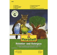 FloraSelf sällskapsdjurs- och påskgräs förpackning med katt, kanin och parakiter