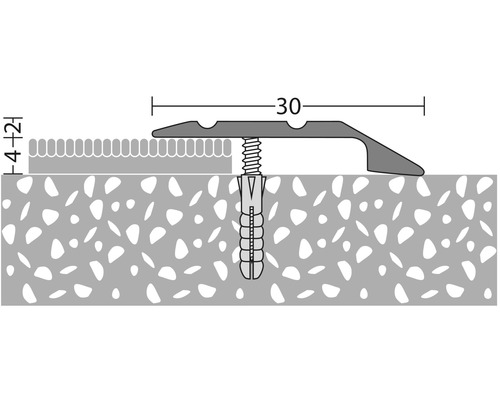 Illustration av en övergångsprofil med skruv och plugg för montering.